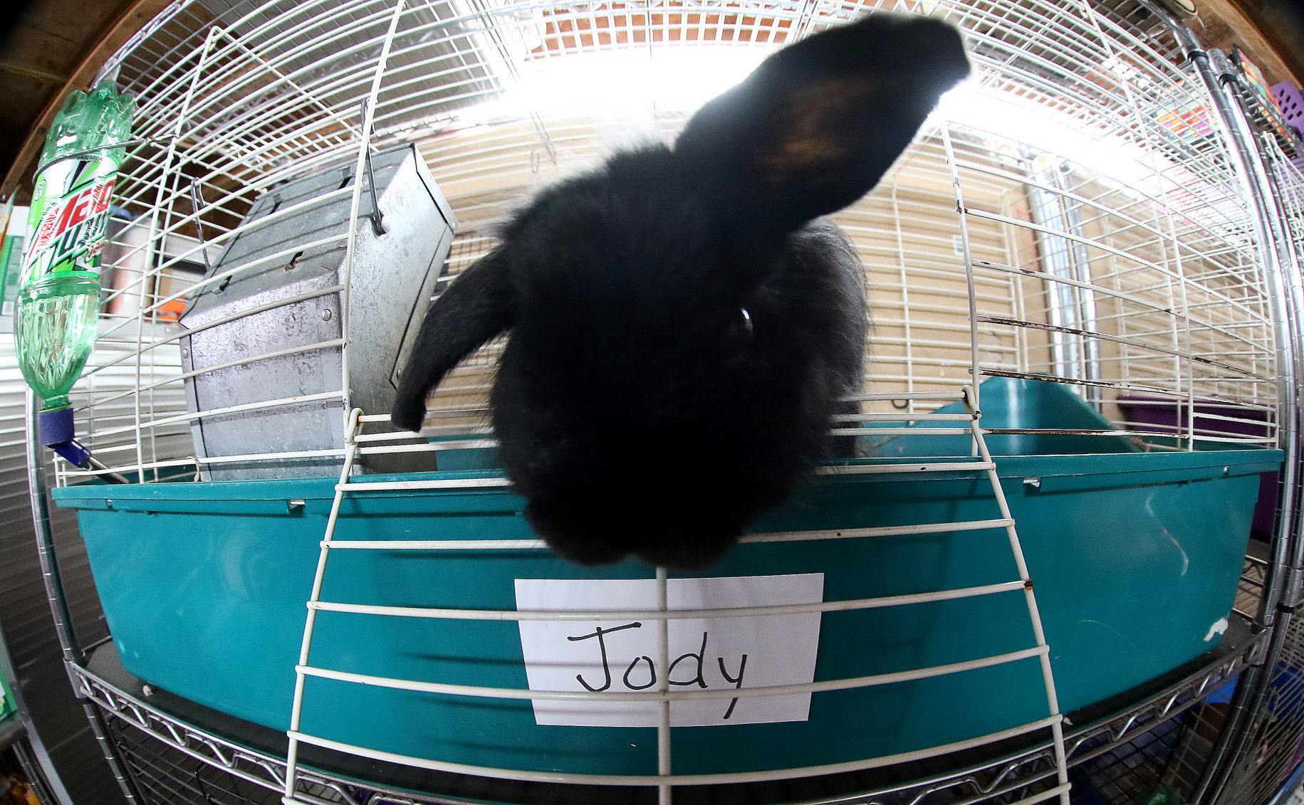 060518-qct-animal-sanctuary-006